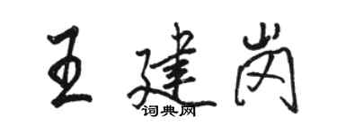 骆恒光王建岗行书个性签名怎么写