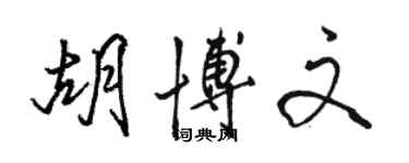骆恒光胡博文行书个性签名怎么写