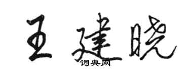 骆恒光王建晓行书个性签名怎么写