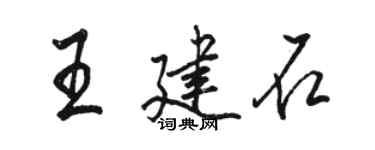 骆恒光王建石行书个性签名怎么写