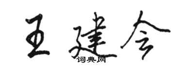 骆恒光王建会行书个性签名怎么写