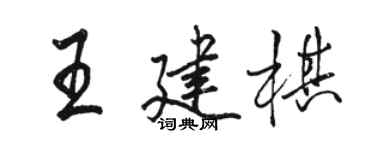 骆恒光王建棋行书个性签名怎么写