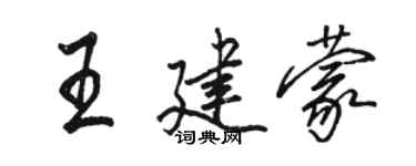 骆恒光王建蒙行书个性签名怎么写