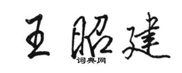 骆恒光王昭建行书个性签名怎么写