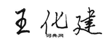 骆恒光王化建行书个性签名怎么写