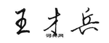 骆恒光王才兵行书个性签名怎么写