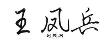 骆恒光王凤兵行书个性签名怎么写