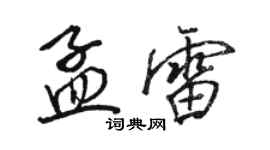 骆恒光孟雷行书个性签名怎么写