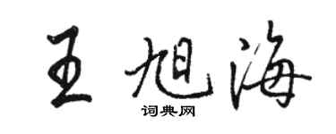 骆恒光王旭海行书个性签名怎么写