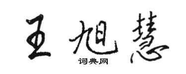 骆恒光王旭慧行书个性签名怎么写