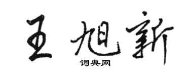 骆恒光王旭新行书个性签名怎么写