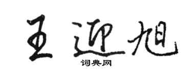 骆恒光王迎旭行书个性签名怎么写