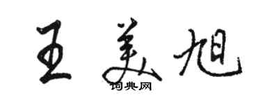 骆恒光王美旭行书个性签名怎么写