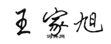 骆恒光王家旭行书个性签名怎么写