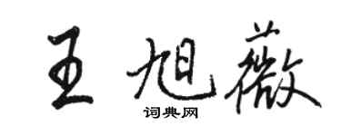 骆恒光王旭薇行书个性签名怎么写