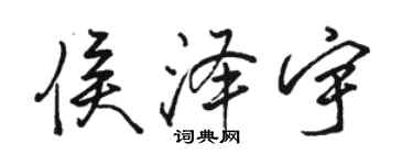 骆恒光侯泽宇行书个性签名怎么写