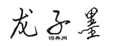 骆恒光龙子墨行书个性签名怎么写