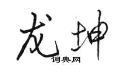 骆恒光龙坤行书个性签名怎么写
