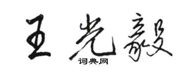 骆恒光王光毅行书个性签名怎么写