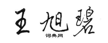 骆恒光王旭碧行书个性签名怎么写