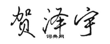 骆恒光贺泽宇行书个性签名怎么写