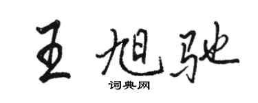 骆恒光王旭驰行书个性签名怎么写