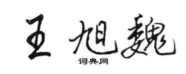 骆恒光王旭魏行书个性签名怎么写