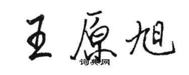 骆恒光王原旭行书个性签名怎么写