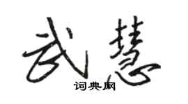 骆恒光武慧行书个性签名怎么写