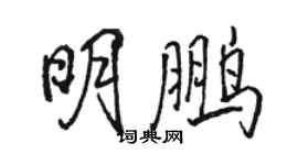 骆恒光明鹏行书个性签名怎么写