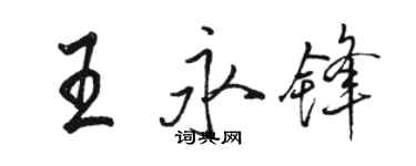 骆恒光王永锋行书个性签名怎么写