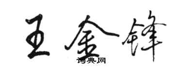 骆恒光王金锋行书个性签名怎么写