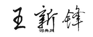 骆恒光王新锋行书个性签名怎么写