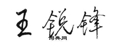 骆恒光王锐锋行书个性签名怎么写