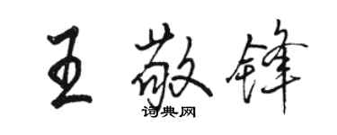 骆恒光王敬锋行书个性签名怎么写