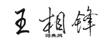 骆恒光王相锋行书个性签名怎么写