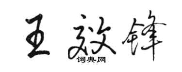 骆恒光王效锋行书个性签名怎么写