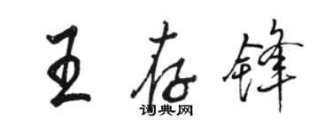 骆恒光王存锋行书个性签名怎么写