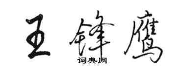 骆恒光王锋鹰行书个性签名怎么写
