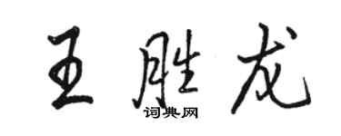骆恒光王胜龙行书个性签名怎么写