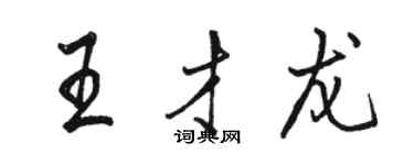骆恒光王才龙行书个性签名怎么写
