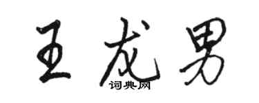 骆恒光王龙男行书个性签名怎么写