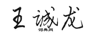 骆恒光王诚龙行书个性签名怎么写