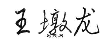 骆恒光王墩龙行书个性签名怎么写