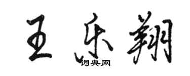 骆恒光王乐翔行书个性签名怎么写