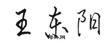 骆恒光王东阳行书个性签名怎么写
