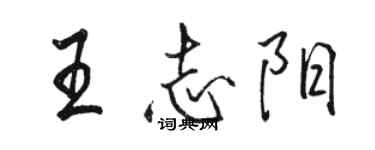 骆恒光王志阳行书个性签名怎么写