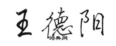 骆恒光王德阳行书个性签名怎么写