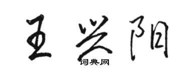 骆恒光王兴阳行书个性签名怎么写