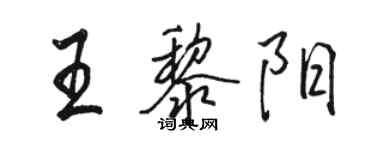 骆恒光王黎阳行书个性签名怎么写